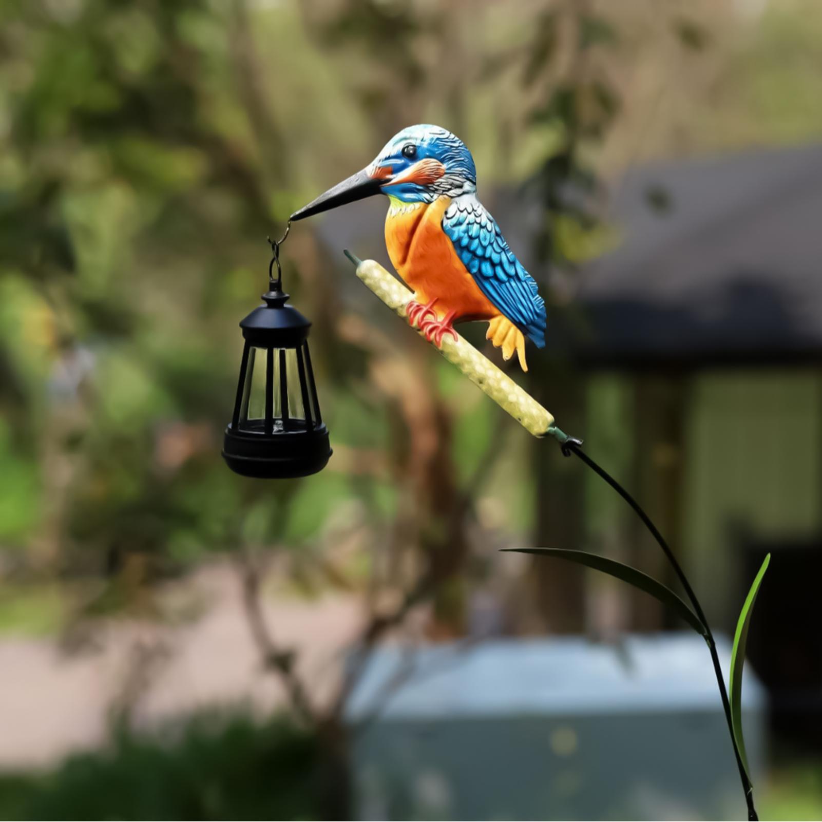 Solar Powered Kingfisher Light - Outdoor Lighting Traditional review and price