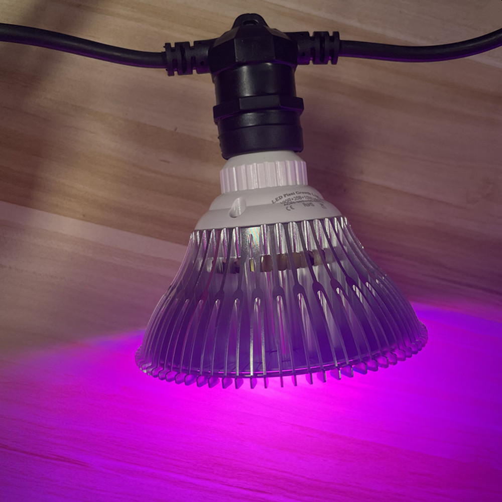 10M Cable LED String Commercia - Outdoor Lighting Socket review and price