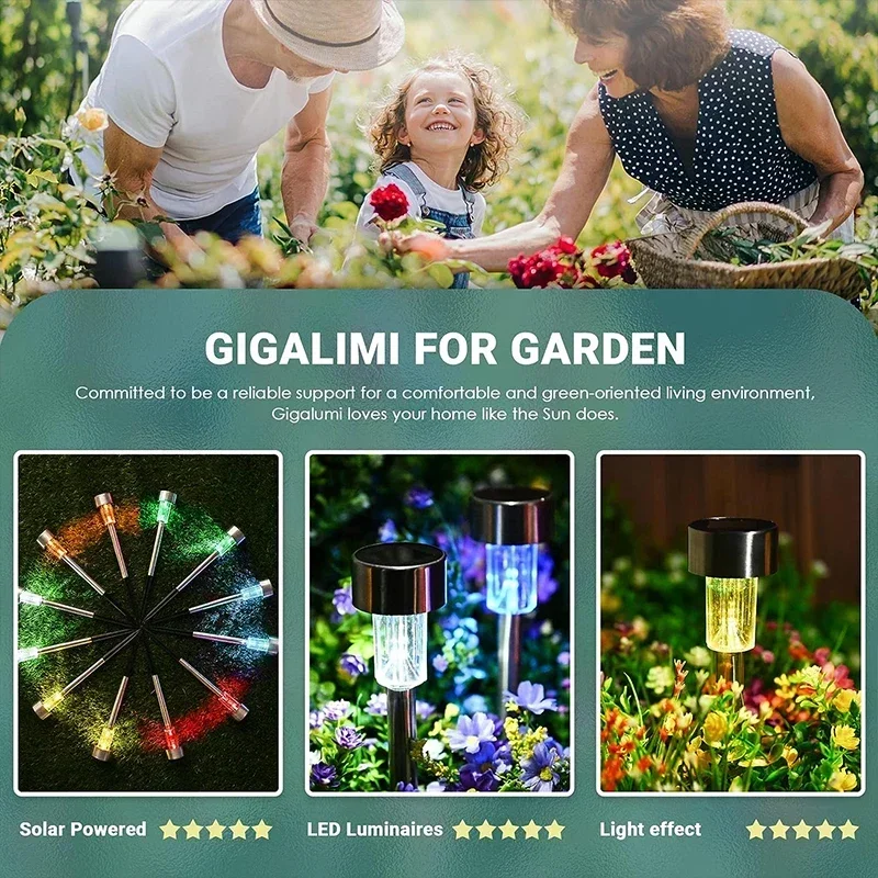 Solar Outdoor Lights Garden La - Outdoor Lighting Traditional review and price
