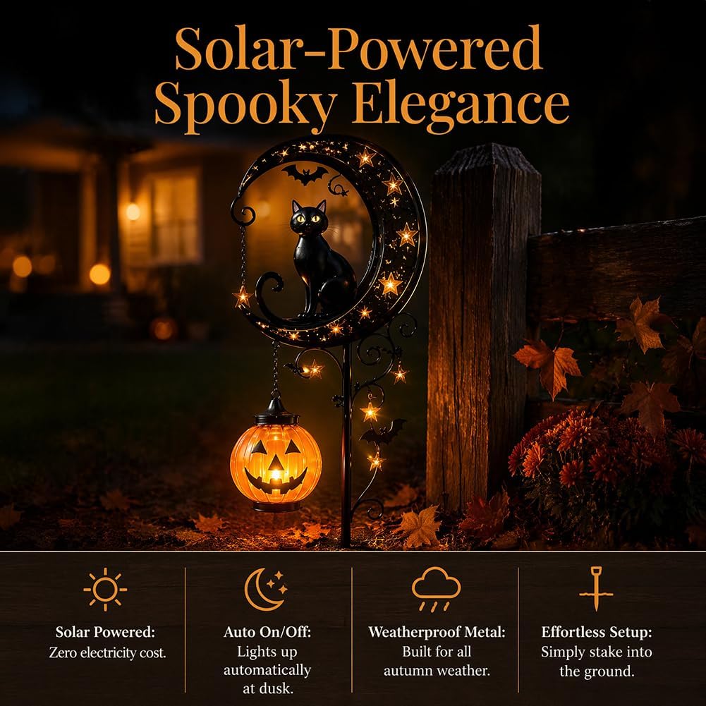 Solar Halloween Black Cat & Pu - Outdoor Lighting Traditional review and price