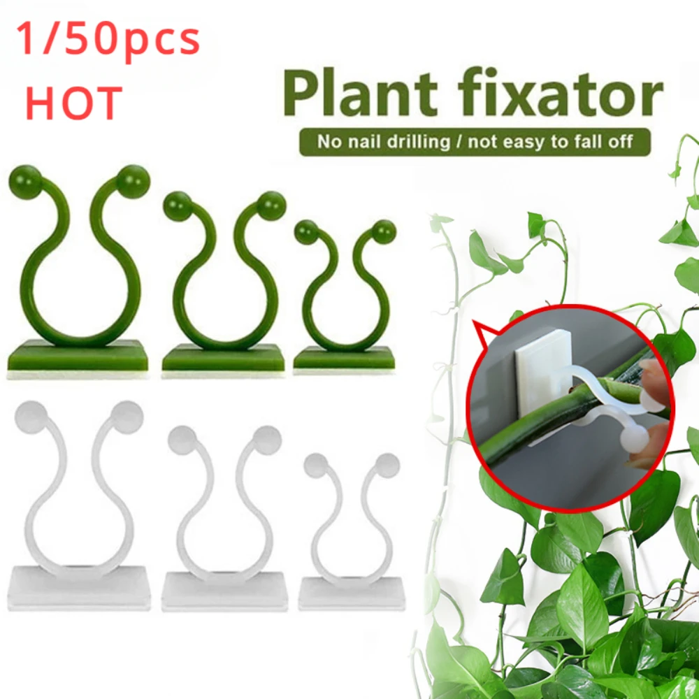 1/30/50Pcs For Garden Accsesor - Outdoor Lighting Traditional review and price